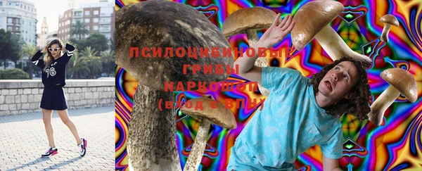 тгк Елабуга