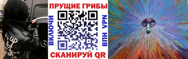 Псилоцибиновые грибы ЛСД купить наркоту Духовщина